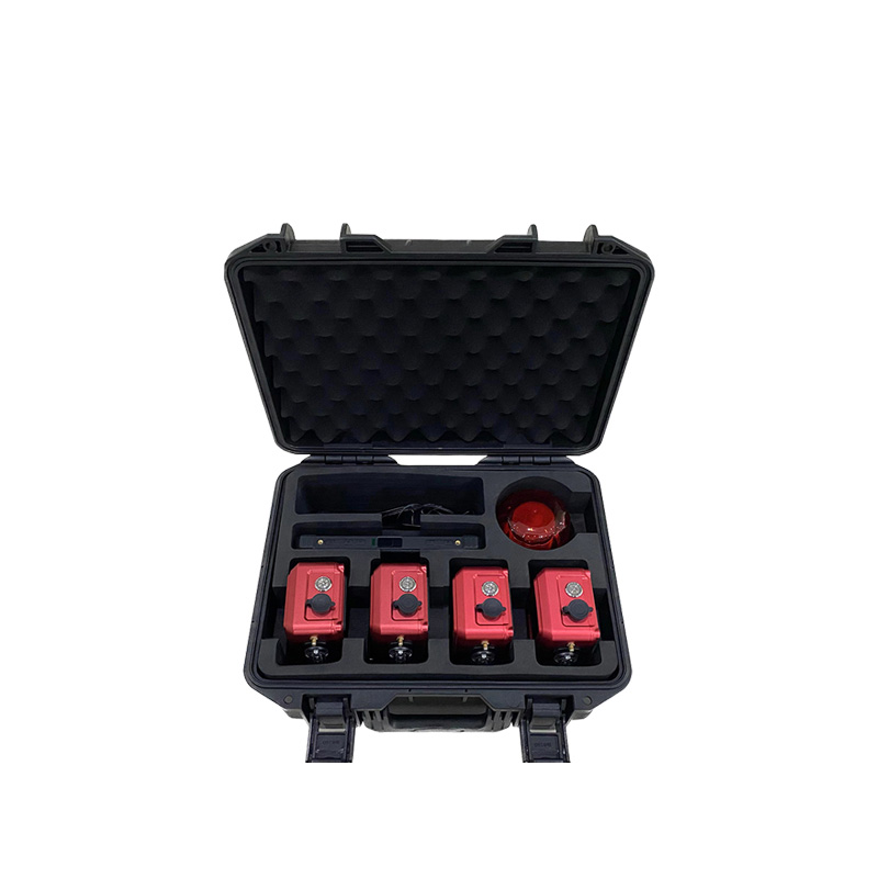 Seismic Aftershock Monitoring System