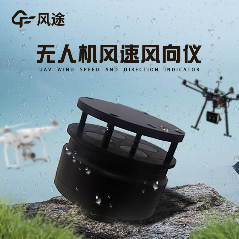 A New Horizon for Wind Monitoring: Anemometers on Drones